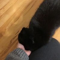 Photo of Lucy (Other)