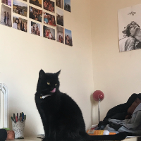 Photo of Mimi (Other)