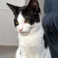 Photo of Crystal (Other)