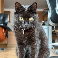 Photo of Feral (Oct 2025) (Other)