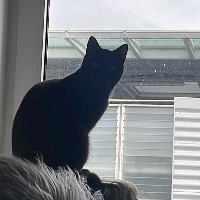 Photo of Millie  (Other)