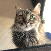 Photo of Minina (Other)