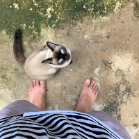 Photo of Raul  (Other)