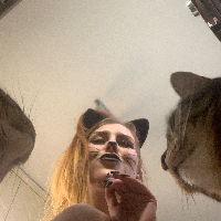 Photo of Nala and Amber  (Tabby)