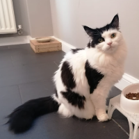 Photo of Betty (Other)