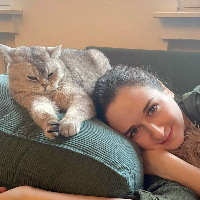 Photo of Varya (British Shorthair)