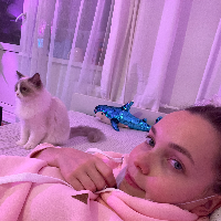 Photo of Lexi  (Ragdoll)