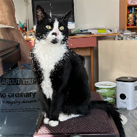 Photo of Gunnar  (Other)