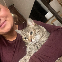 Photo of Diva (Tabby)