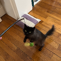 Photo of Tofu (Other)