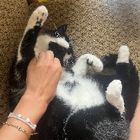 Photo of Ben (Other)