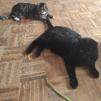 Photo of Joey und Jerry (Other)