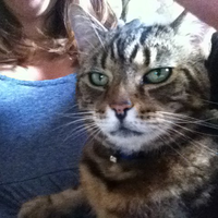 Photo of Tiggy (None)