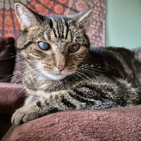 Photo of Urmel (Other)