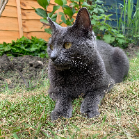 Photo of Monty (Other)