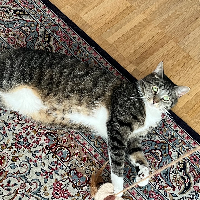 Photo of Mahi  (Other)