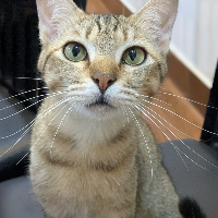 Photo of River (Vietnam) (Moggy)