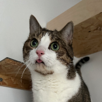 Photo of Bismarck (Other)