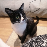 Photo of Babs (Other)