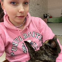 Photo of Rex (Moggy)