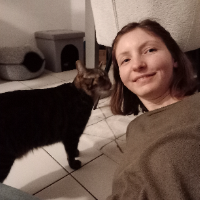 Photo of Kenai (Moggy)