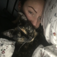 Photo of Sooty  (Moggy)