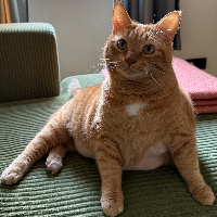 Photo of Leo (Other)