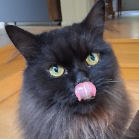 Photo of Carlo♥ Kurzbesuch (Persian)
