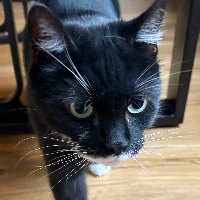 Photo of Bruce (Other)