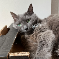 Photo of Kerli (Other)