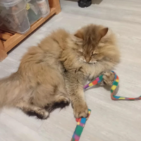 Photo of Mila (Other)