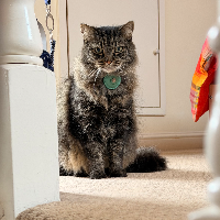 Photo of Marmite (October 2025) (Other)