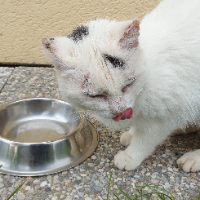 Photo of Mr. Wilson (Other)