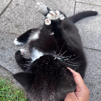 Photo of Sally (Other)