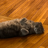 Photo of Claire (Other)