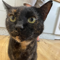 Photo of Matilda (Other)