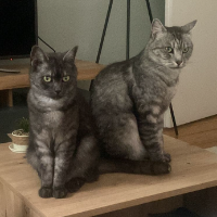 Photo of Nala und Nils (Other)