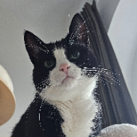 Photo of Pippa (Other)