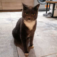 Photo of Jean Luc (Other)