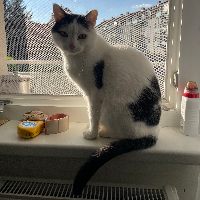 Photo of Sasou (Other)