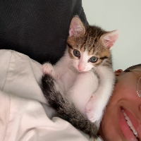 Photo of Cookie  (Other)