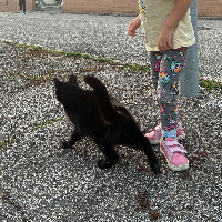 Photo of Coco (Other)