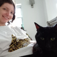 Photo of Oscar (Moggy)