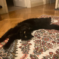 Photo of Bug (Other)