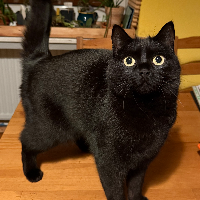 Photo of Nunu (Other)