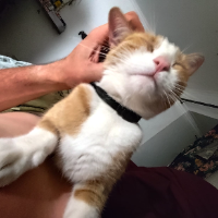 Photo of Blüme (Other)