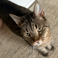 Photo of Connor (Other)