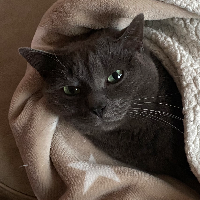 Photo of Luna (Other)