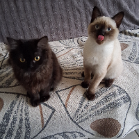 Photo of 4 Monate alt und so quirlig (Other)