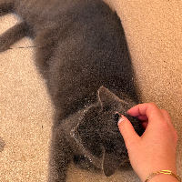 Photo of Dina (Other)